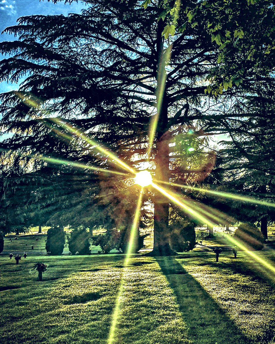 jennykinsutton's tweet photo. #gratitude #sunlight #PacificaNorthwest #washingtonstate #home #Meditation #happiness.    Photo by me. https://t.co/LdYTbOEMs3