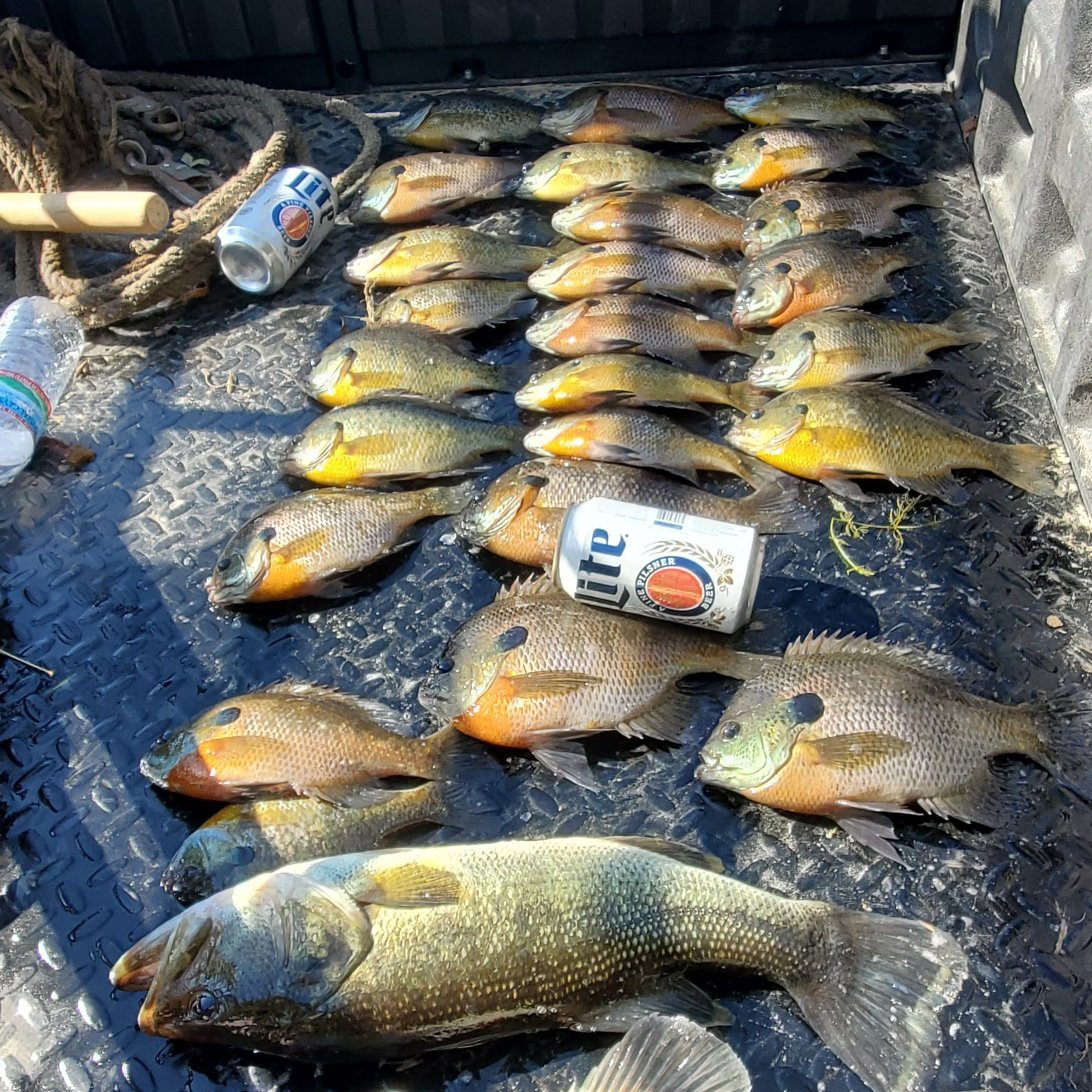 landco's tweet photo. Ready for showings late this week or early next week on our 47.5 acre property 30 minutes north of Peoria! The fish in the private lake are in great shape! Message us to schedule a private tour. https://t.co/7irqwYCTwX