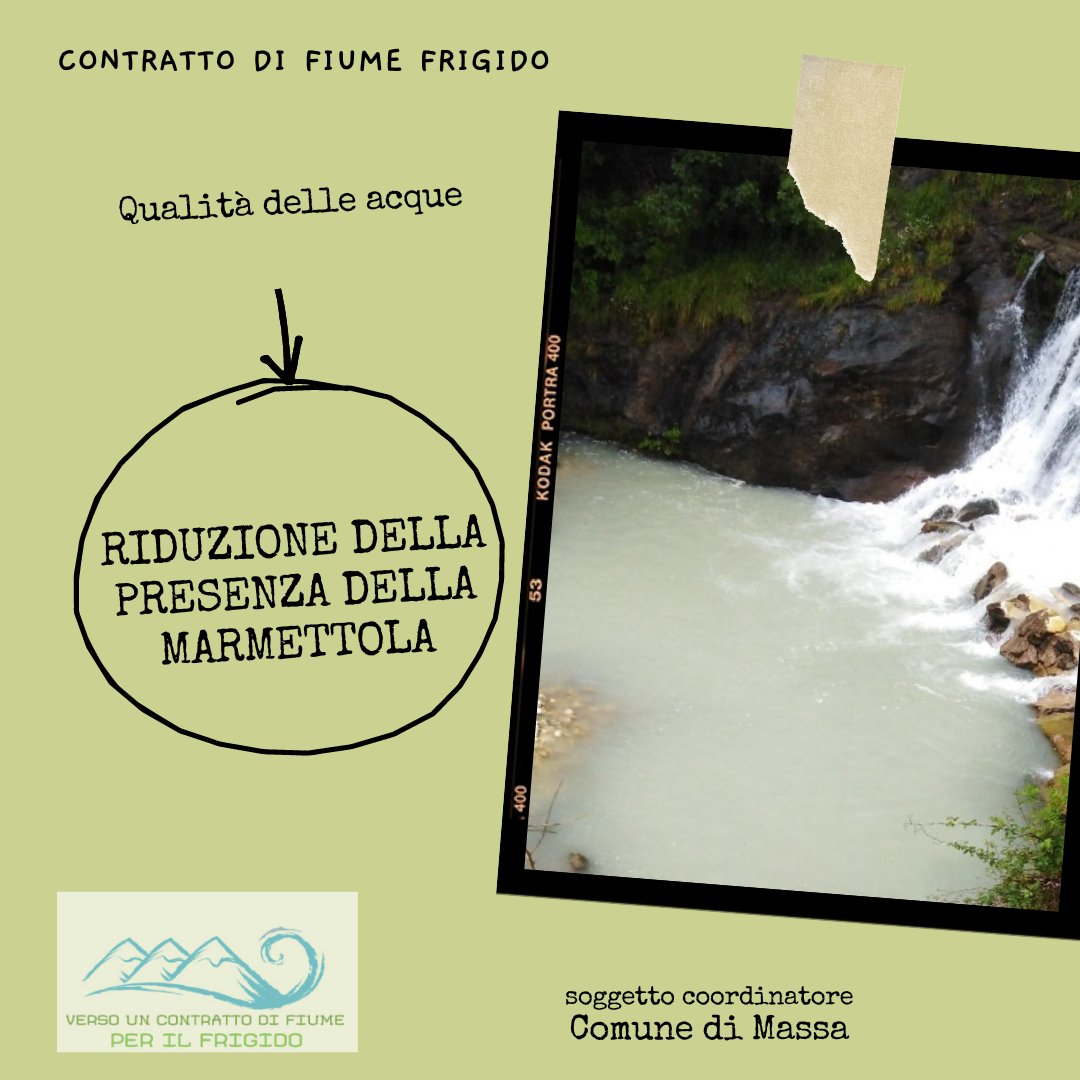 CInterattive's tweet photo. Con questa azione sulla riduzione della presenza della marmettola il @comunedimassa, capofila del progetto, si attende il coinvolgimento pro-attivo della cittadinanza in un’ottica di rispetto e responsabilizzazione nella fruizione della risorsa fiume
#contrattodifiumefrigido https://t.co/mqSfiMi5q1
