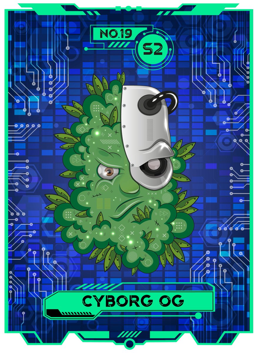 buds_crypto's tweet photo. #newstrainday

Cyborg OG was added to #cryptobuds #nft collection!!

Live only on @neftyblocks !

WL1-https://t.co/6XsRwBuLux
WL2-https://t.co/Fbq7p8HP0Y
WL3-
https://t.co/LWqqiVLIqt https://t.co/RcoNTEcpzB