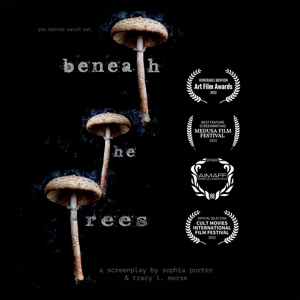 tracymorse2010's tweet photo. Our latest supernatural thriller screenplay BENEATH THE TREES is getting some attention!  Thank you Art Film Awards, Medusa Film Festival, Athen International Film Festival &amp; Cult Movies International Film fest for the recognition!  @SophiaPorter #screenwriting https://t.co/56o59I6hd5