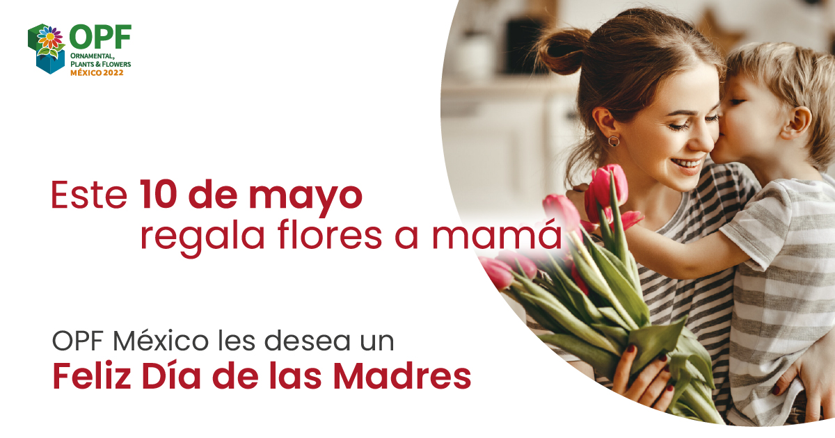 OPFexpo's tweet photo. "La flor es el alimento del alma que se come con los ojos"

OPF México desea a todas las madres en su día.

¡Deseamos que disfruten este día en compañía de sus seres queridos y que no falten las flores en este bello día!

https://t.co/CTStCP814a

#regalafloresamamá #10demayo https://t.co/5t7SMAgKKl