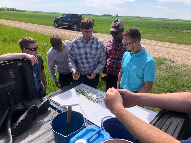 LallemandPC_US's tweet photo. Matt Pfarr alongside members of Lallemand’s technical sales, and R&D teams assess soybeans inoculated with #LALFIXSTART Spherical.
What did they notice?
✅Accurate metering and product placement
✅More uniform crop stand
✅Healthier, more robust plants
#USAg #USsoy https://t.co/sM8yudscLl