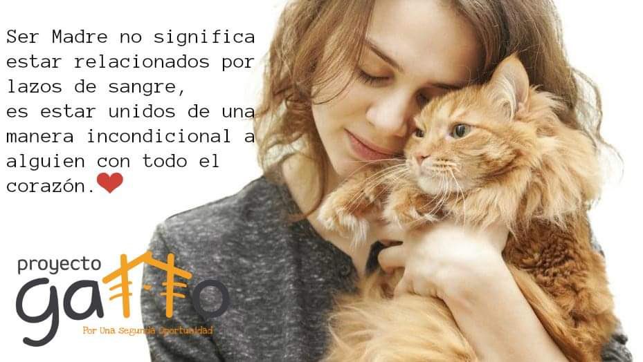 Feliz día de las madres #DiaDeLasMadres