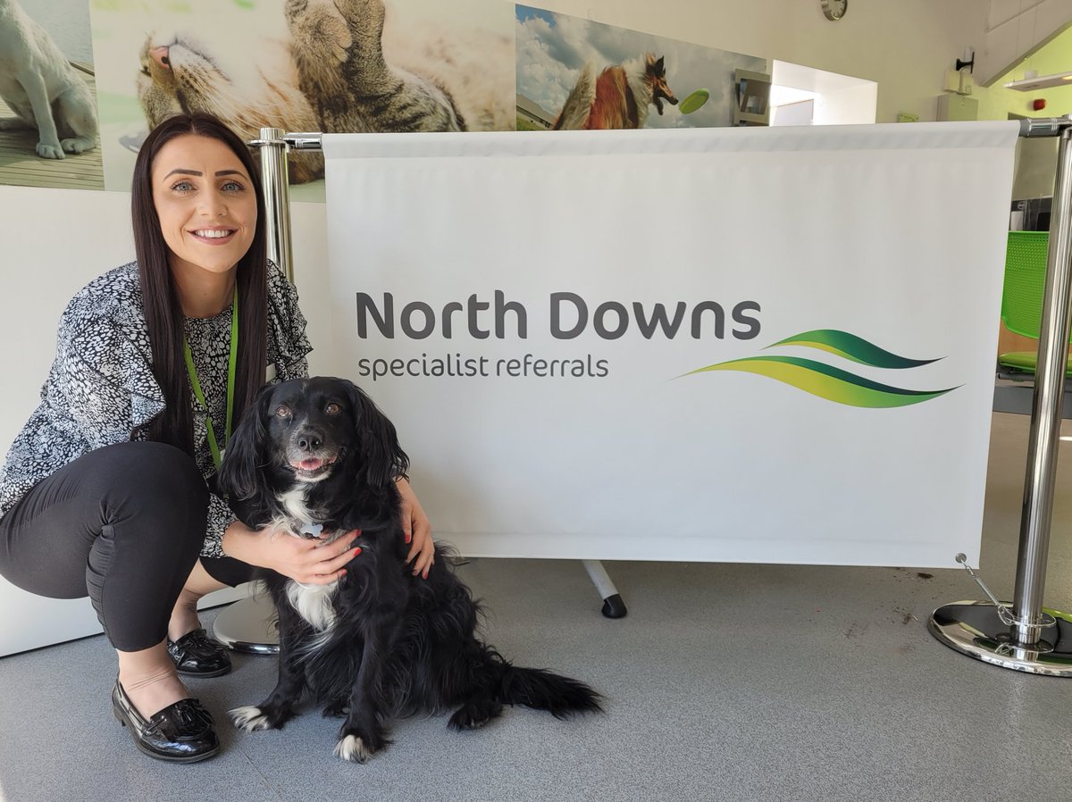 VetMG's tweet photo. Veterinary Nurses in leadership and management: Lauren Emmett RVN is Head of Nursing Services at North Downs Specialist Referrals in Surrey. She passed her L5 Award in Leadership & Management last year and is now working towards her Certificate. @bvnauk #VNAM2022 #CVLM #whatvnsdo https://t.co/YoLyA2xBFW