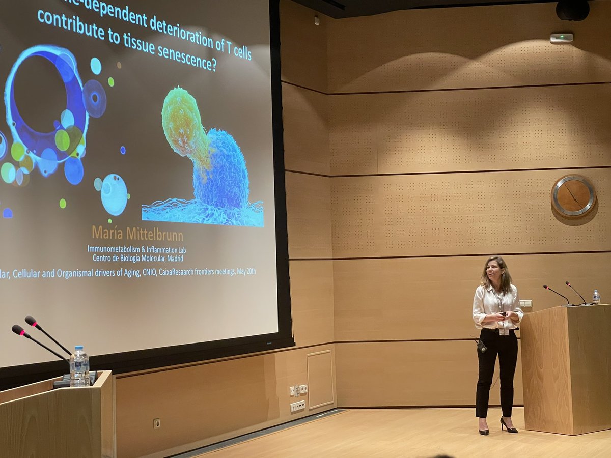 CAMS__2024's tweet photo. One of our invited speakers @MMittelbrunn told about How does time-dependent deterioration of T cells contribute to tissue senescence? in #CFM_Aging22 @CNIOStopCancer @CaixaResearch @CBMSO_CSIC_UAM https://t.co/RLOAjyYQX2