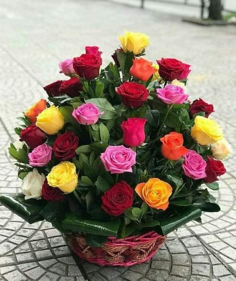 Blida17688583's tweet photo. مساء الخير للجميع https://t.co/vDi4fDBe5e
