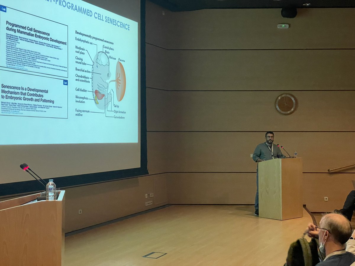 CAMS__2024's tweet photo. One of our invited speakers @mcollado_CHUS gave a great talk about Cellular Senescence in Development and Tissue Regeneration in #CFM_Aging22 @CNIOStopCancer @CaixaResearch @idis_research https://t.co/2RPpuM9LeJ