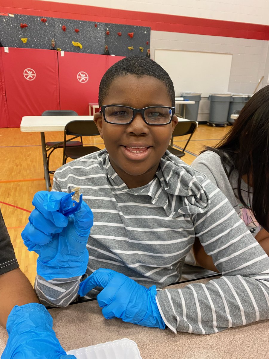 Oak Point third grade students dissecting owl pellets with our friends from Staring Lake Nature Center.