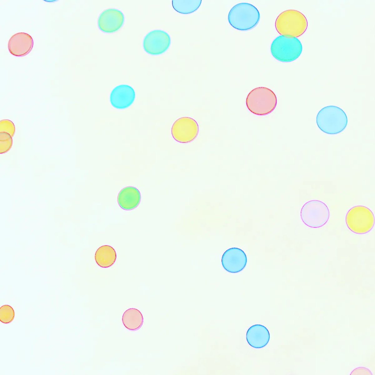 chimakey's tweet photo. Space and particles * グループ写真展SKIP07にお越し下さった皆さま、ありがとうございました。
和紙に描かれた絵のような写真作品、そして手製本を展示していました。
それぞれの感覚で楽しんでいただけたり、新たな表現のヒントになりましたら幸いです。

出展作品集です↓
https://t.co/IjxaIbFoxH https://t.co/ZRbpRvlexV