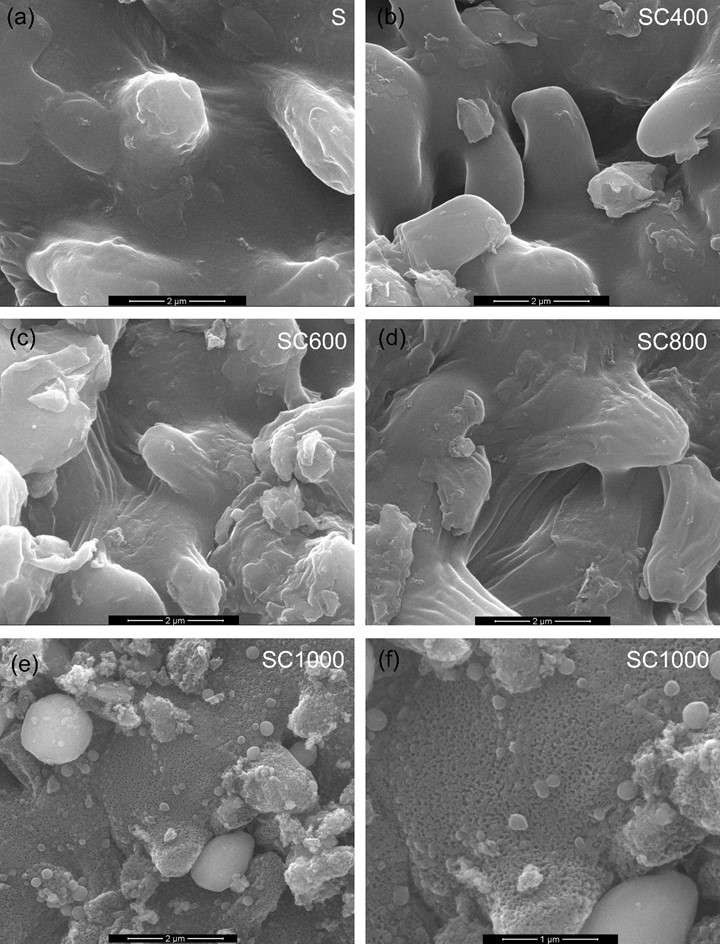 BioResJournal's tweet photo. Preparation &amp; characterization of #Racomitrium japonicum #moss #biochar &amp; its #adsorption of Sr(II).

https://t.co/Rw7Vzwlky1
#BioResJournal #biomass #adsorbent https://t.co/FTFm4aEhJy