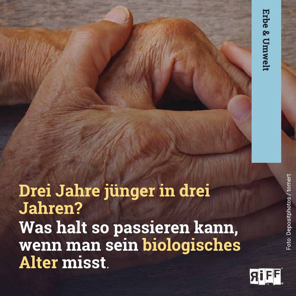 SporkPeter's tweet photo. Habe in 3 Jahren 2 Selbsttests aufs biologische Alter gemacht. Methode #HorvathsClock. Zur großen Überraschung war ich d. 2. Mal 3 Jahre jünger. Wo soll das bloß enden?
Alles zu Tests und wissenschaftl. Hintergrund @riffreporter #ErbeUmwelt #HilfdemRiff
👉 https://t.co/t8MwUOaFIl https://t.co/xcQU4KoWbb