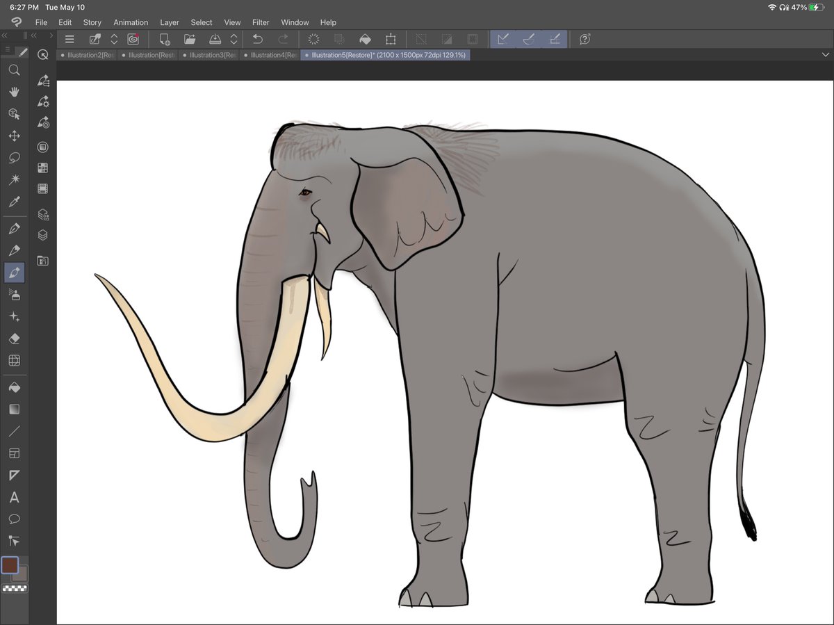 MoArtStudio's tweet image. #middleearth #oliphaunt A more complete concept for a redesign of the Mûmakil from the #lotr films to make it look more like an elephant

Again, specifically with the ears and the base of the trunk and tusks, and the positioning of the tusks.

Feel free to critique