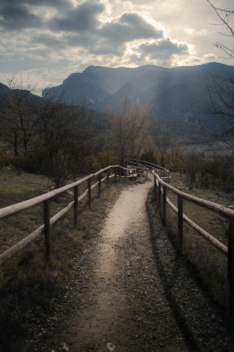 Can I get a GM? ☕️