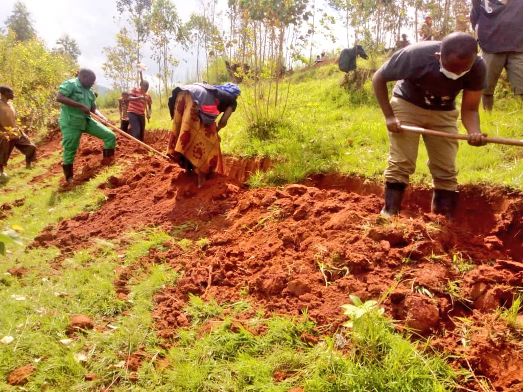 NYARUSANGE_Sect's tweet photo. Uyu munsi, Umunyamabanga Nshingwabikorwa w'Umurenge Bwana @RuzindanaFiacr1 yifatanyije n'abaturage bo mu Kagari ka #Ngaru mu muganda wo gucukura no gusibura imirwanyasuri mu Mudugudu wa #Remera. Nyuma y'umuganda, baganiriye kuri gahunda za Leta zitandukanye @gatjmv @KAYITAREJacky https://t.co/U2W1qTZxVf