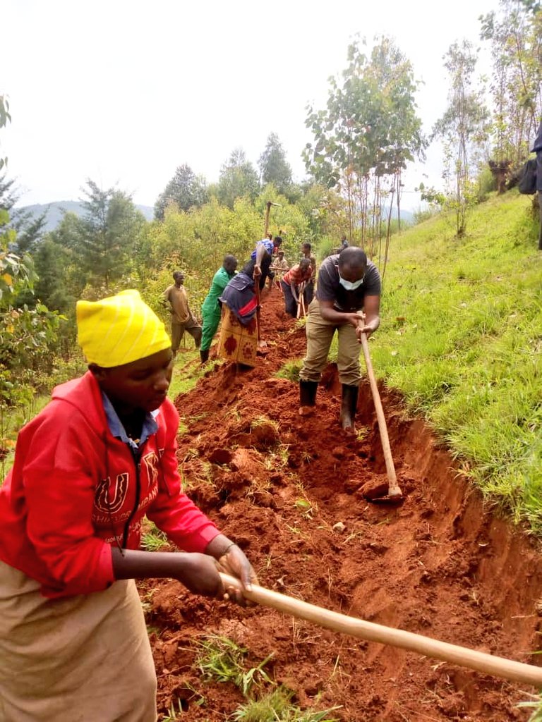 NYARUSANGE_Sect's tweet photo. Uyu munsi, Umunyamabanga Nshingwabikorwa w'Umurenge Bwana @RuzindanaFiacr1 yifatanyije n'abaturage bo mu Kagari ka #Ngaru mu muganda wo gucukura no gusibura imirwanyasuri mu Mudugudu wa #Remera. Nyuma y'umuganda, baganiriye kuri gahunda za Leta zitandukanye @gatjmv @KAYITAREJacky https://t.co/U2W1qTZxVf