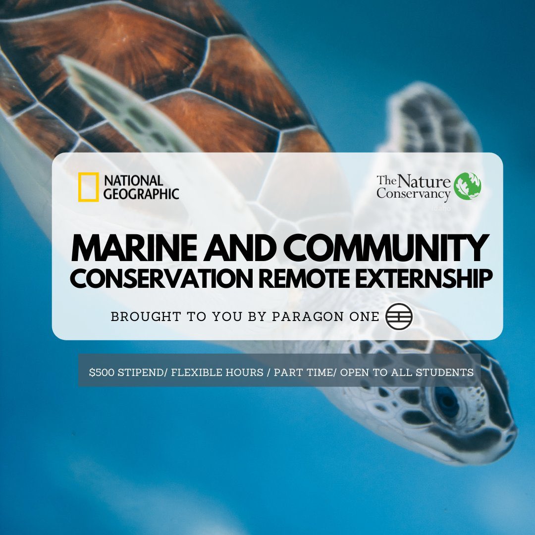 PrashantMohesh's tweet image. Are you 18-25, interested in marine conservation, but don’t know where to start? This eight-week Marine and Community Conservation Remote Externship is for you!
Learn more: bit.ly/3FvmTox
#GenGeo @NatGeoEducation