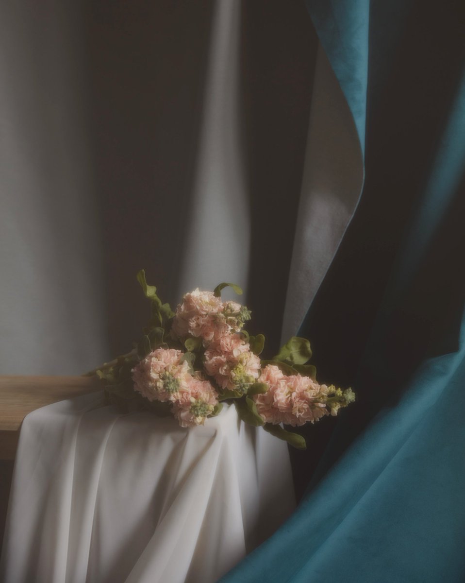 Gm!✨ Collected this stunning still life by the immensely talented Nani Gutierrez <a href="/nanigutierrez_/">Nani Gutiérrez</a> for The World Today Collection.