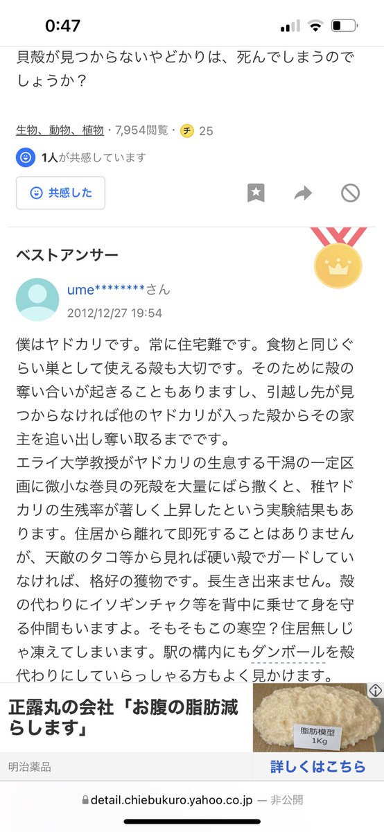 mikkun96's tweet photo. @lexia980 https://t.co/jtykx2ah0O