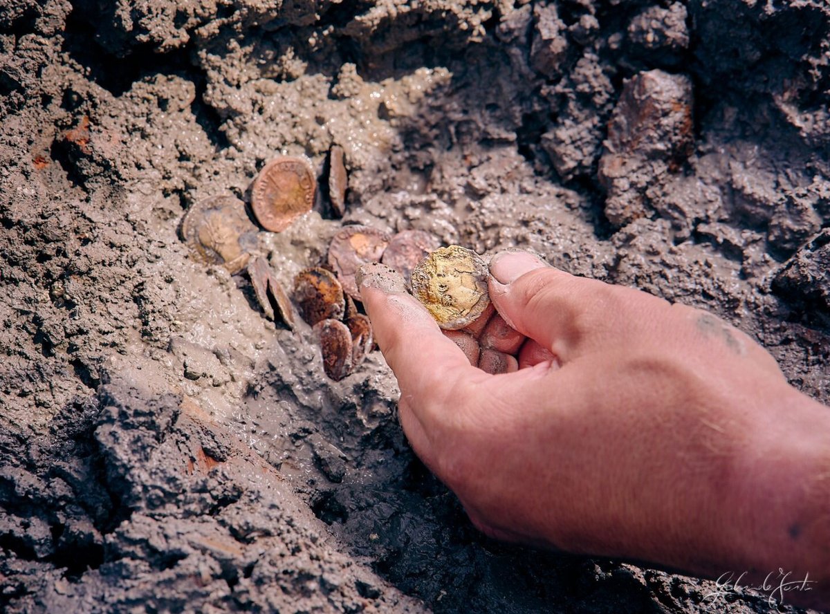 UniSalerno's tweet photo. [RICERCA UNISA] ⚱️🔎⛏📖
Un piccolo tesoro di #2500monete in oro, argento, oricalco, rame e bronzo. E’ il prezioso risultato venuto alla luce dallo #scavoarcheologico oggetto di studio da parte dei ricercatori del nostro Dipartimento di Scienze del Patrimonio Culturale (#DiSPaC) https://t.co/PF9huRSGh2