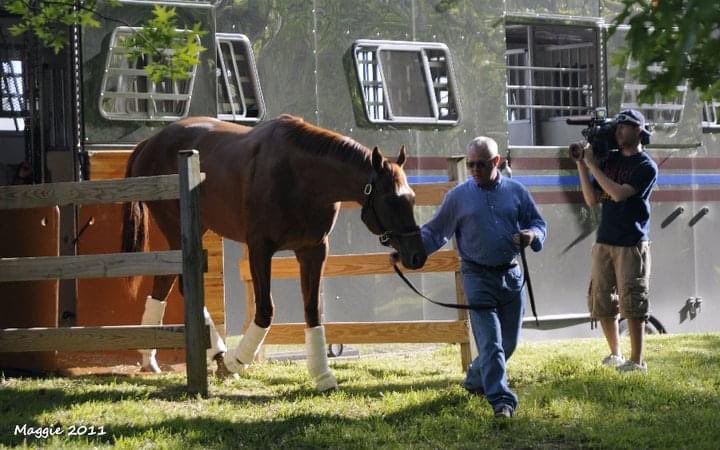 Maggie_Kimmitt's tweet photo. How time flies. 11 years ago today, ANIMAL KINGDOM returned to a hero’s welcome Fair Hill after winning the 2011 @KentuckyDerby. I still remember the news helicopter flying over the barn that evening…. 🏇🌹🚁 @HerringswellStb @GrahamMotion @adrianrolls1 @TeamValor @yusas https://t.co/CMNFfuHxdG