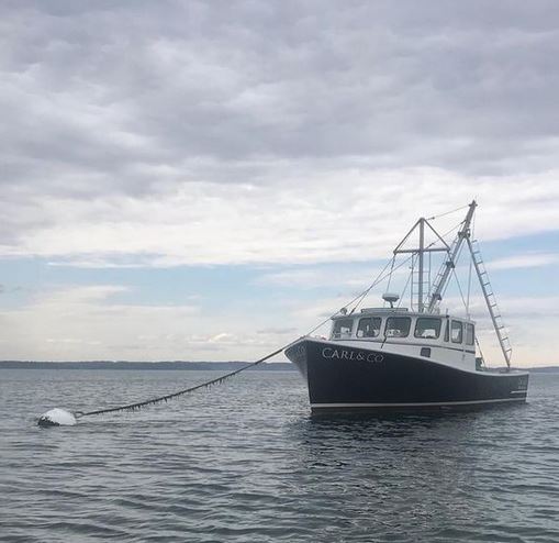 Just as I wouldn’t go to a dentist for back surgery, I urge you not to believe someone who clearly has not taken the time to understand the great lengths lobstermen have gone to to help save the endangered right whale.ellsworthamerican.com/opinions/comme…