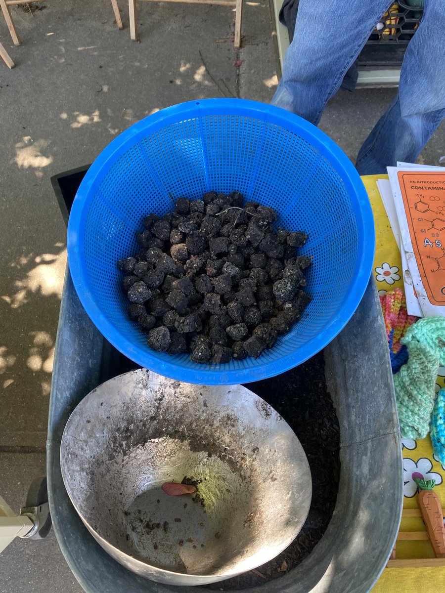 lagcclibrary's tweet photo. Stop by the Library's pop-up! Our own Prof. Chris McHale and Phillip Torres will help you make seed balls for some viral planting! Today until 2pm outside the LIC Community Roots Garden (47th Ave across from the C-Building). Supports the NYC Wildflower Fortnite @greenguerillas https://t.co/rvO36aAezv