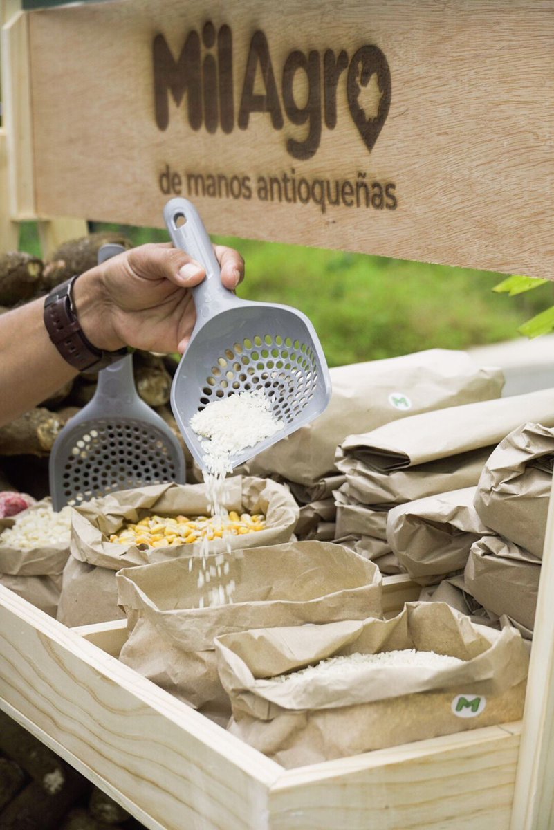 FAO_Colombia's tweet photo. Estamos en el lanzamiento de MilAgro de manos antioqueñas, ®️🌄este es el sello de confianza del campo Antioqueño.

¿Sabes de dónde vienen los alimentos? https://t.co/ERXDXOB5Ut