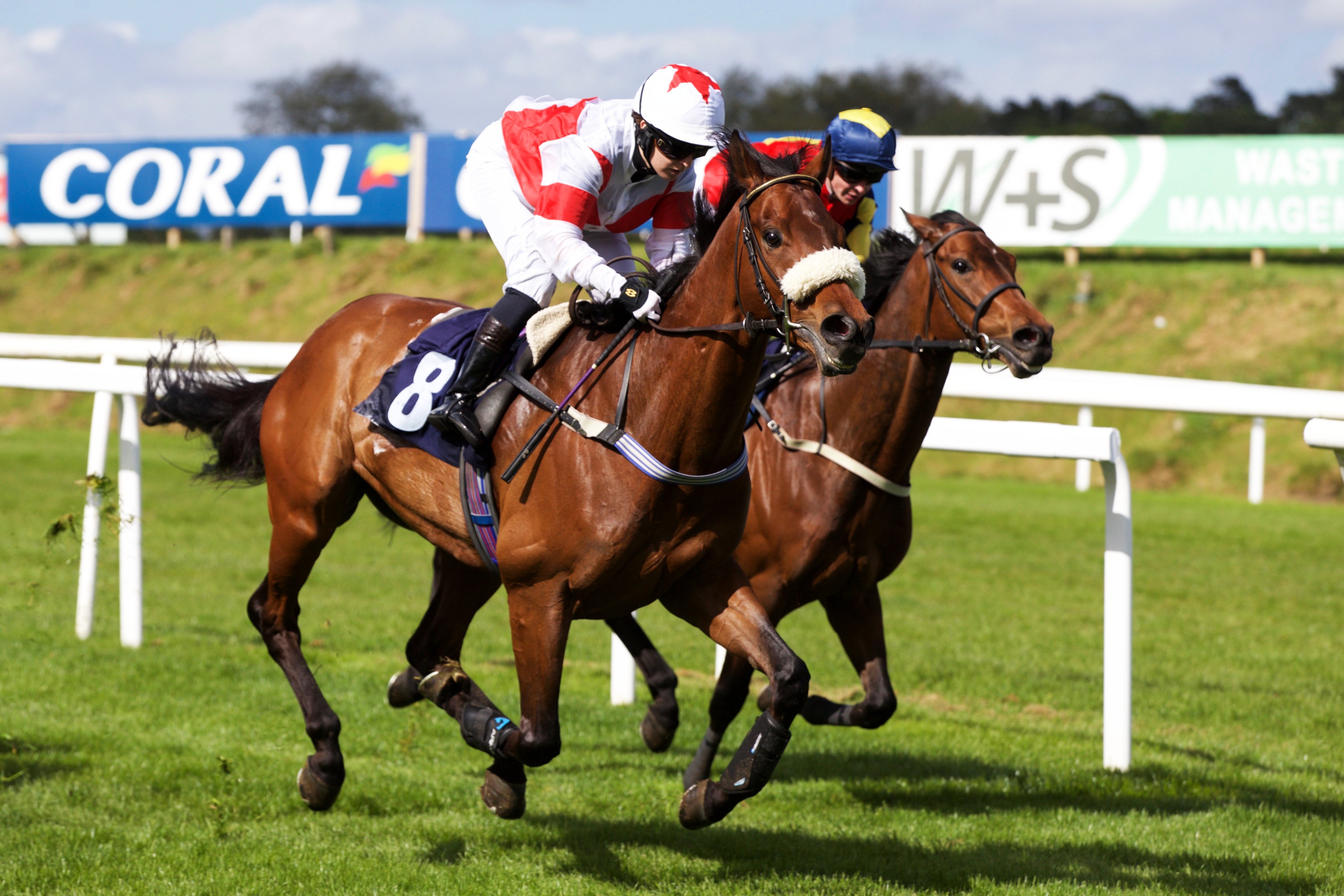 Chepstow Racecourse on Twitter "RACE 7 RESULT https//t.co