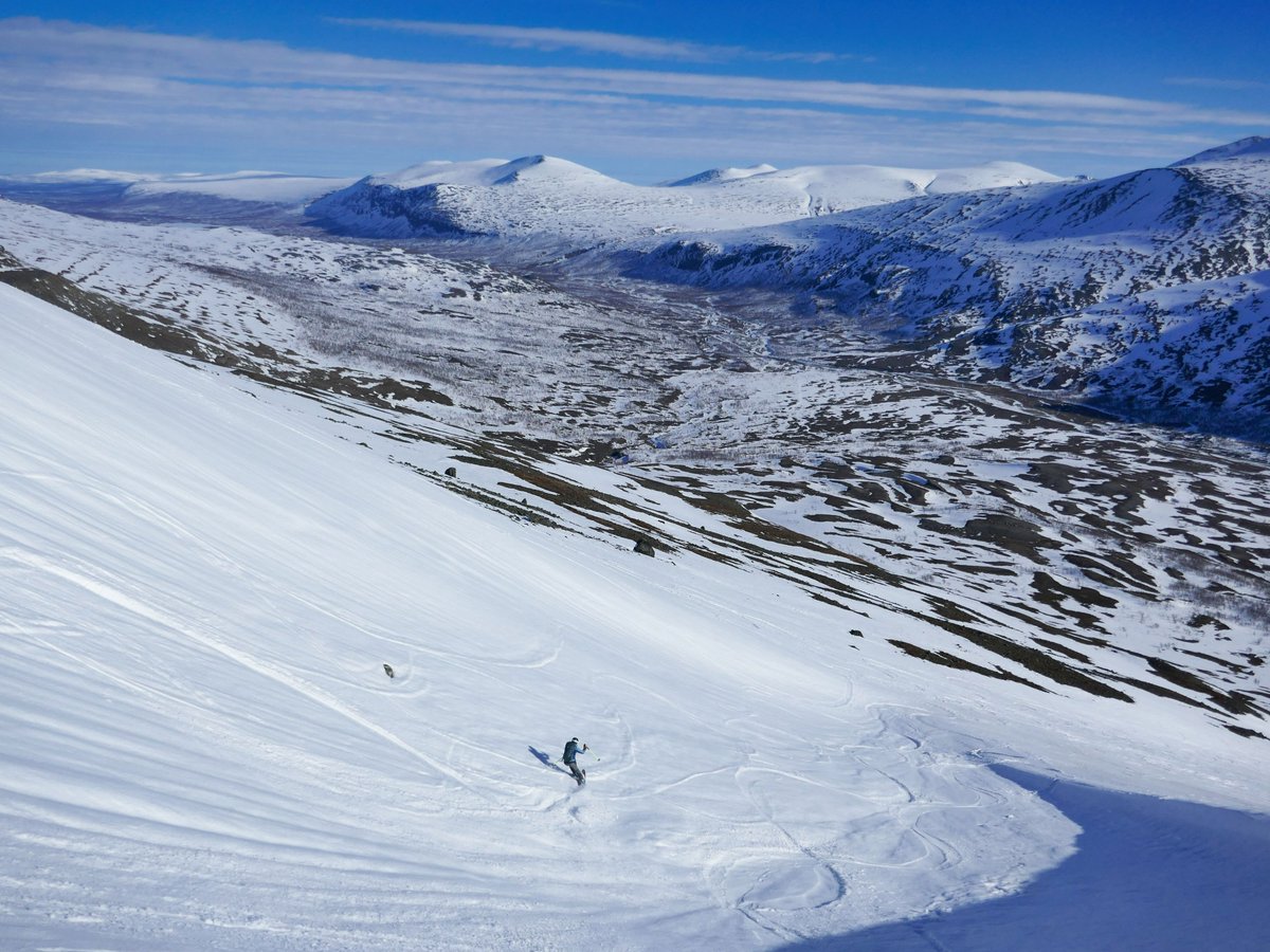 Al Powell tweet media