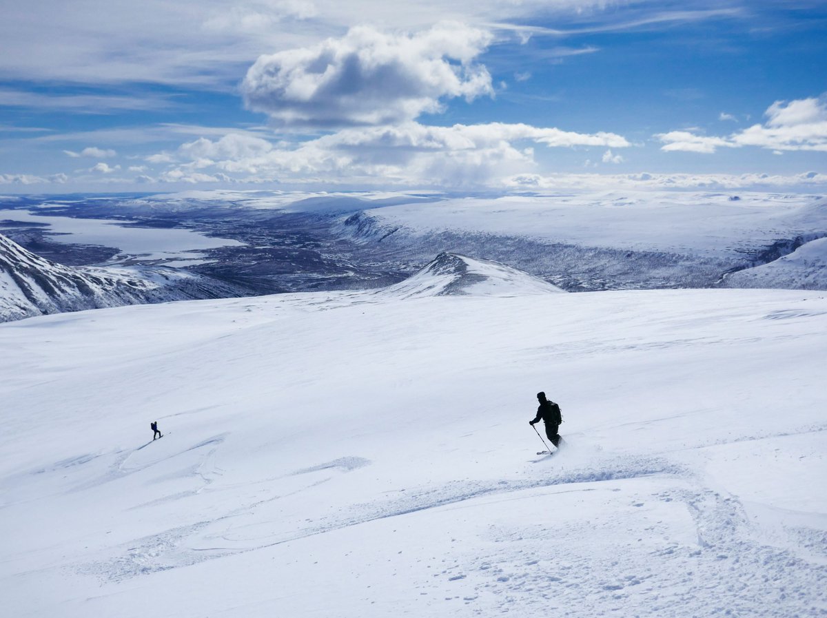 Al Powell tweet media