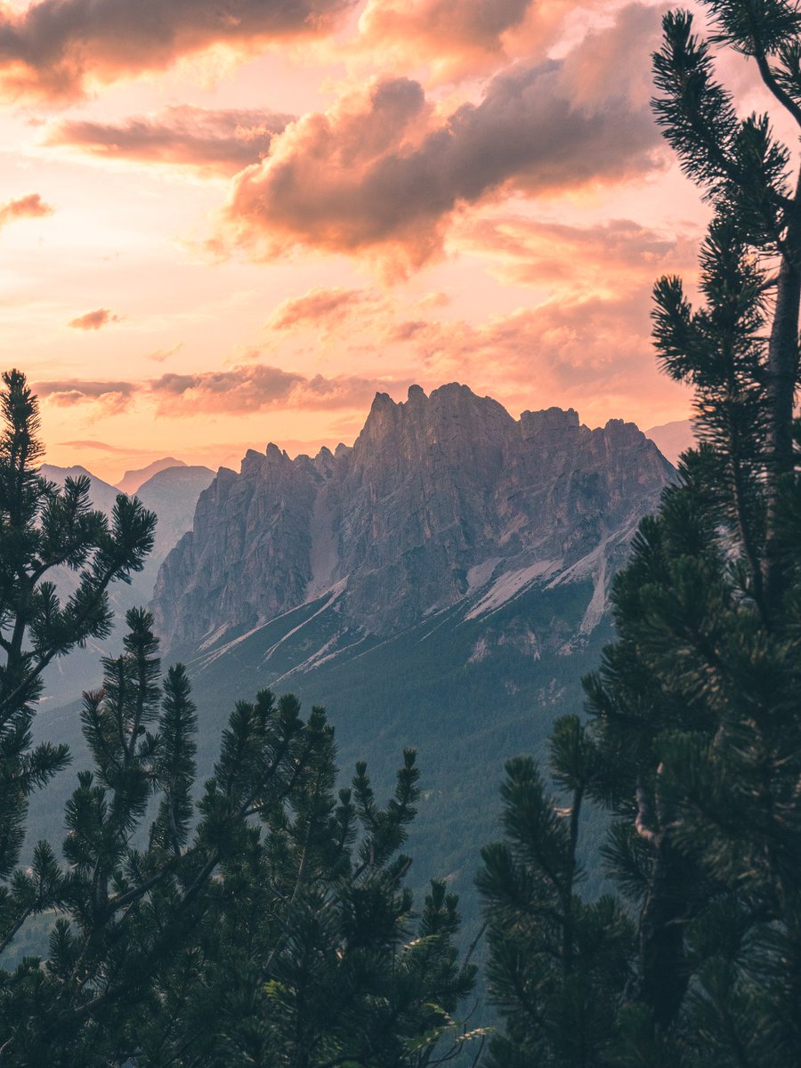 cortinadolomiti's tweet photo. Nature gets ready 🍃
Cortina is preparing, resting, renewing itself; you too can do it with her, for a season that is just around the corner, to be lived at your own pace. 🥰

#mycortina #cortinadolomiti #cortinadampezzo #dolomites #dolomitesunesco #mountains #spring #sun #nature https://t.co/HktnarQoXS