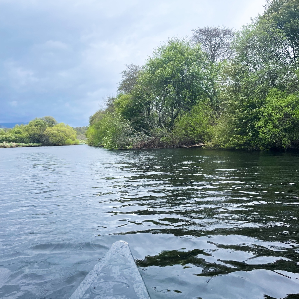 SpeyFishBoard's tweet photo. Over the next month, we are using a receiver pulled along by a canoe to track the migration of tagged smolts.
Yesterday all the 'pings' coincided with sections of mature woodland on the banks. Perhaps a good place for smolts to feed and recover?
#MorayFirthTrackingProject https://t.co/yq7CUZc65A