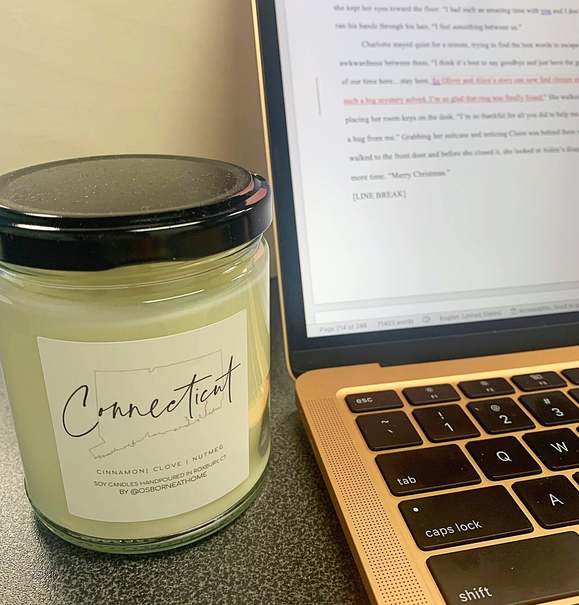 lgibsonauthor's tweet photo. Perfect blend in this new soy candle to represent my home state while I edit this Christmas novel 🥰 #nutmegger #ctliving #amediting @HarpethRoad I can’t wait to send it back😄 https://t.co/VkZwEZCM5W