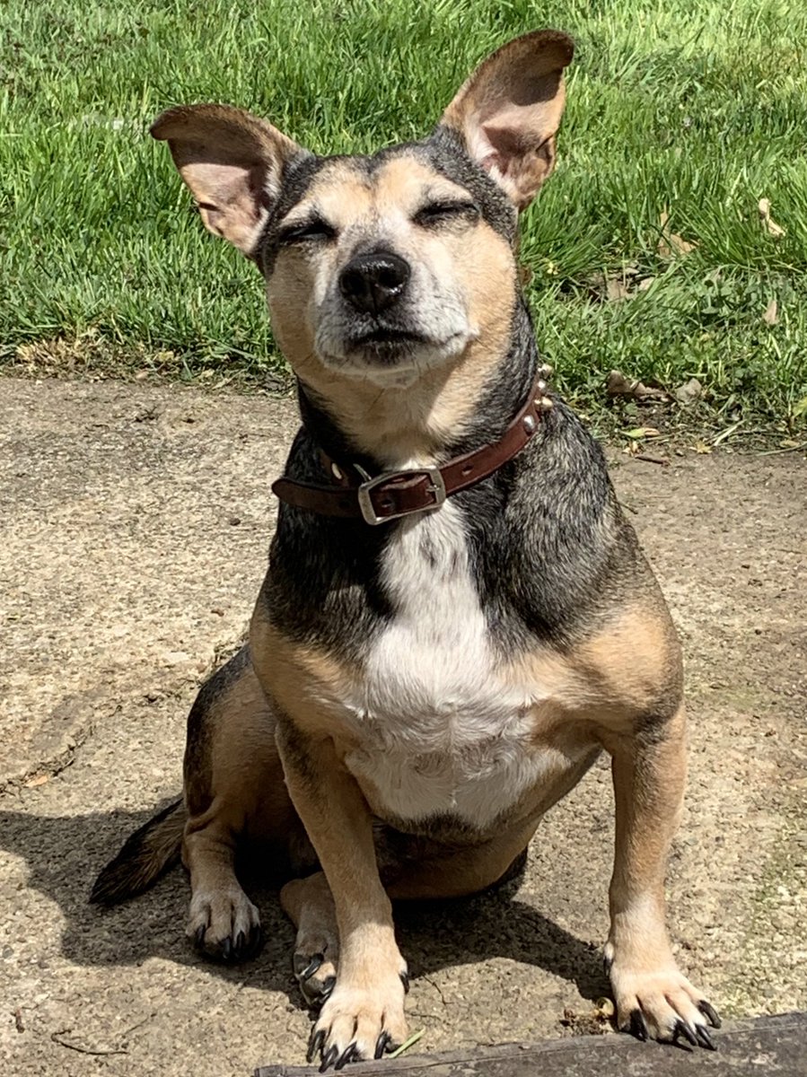 the twins tweet media