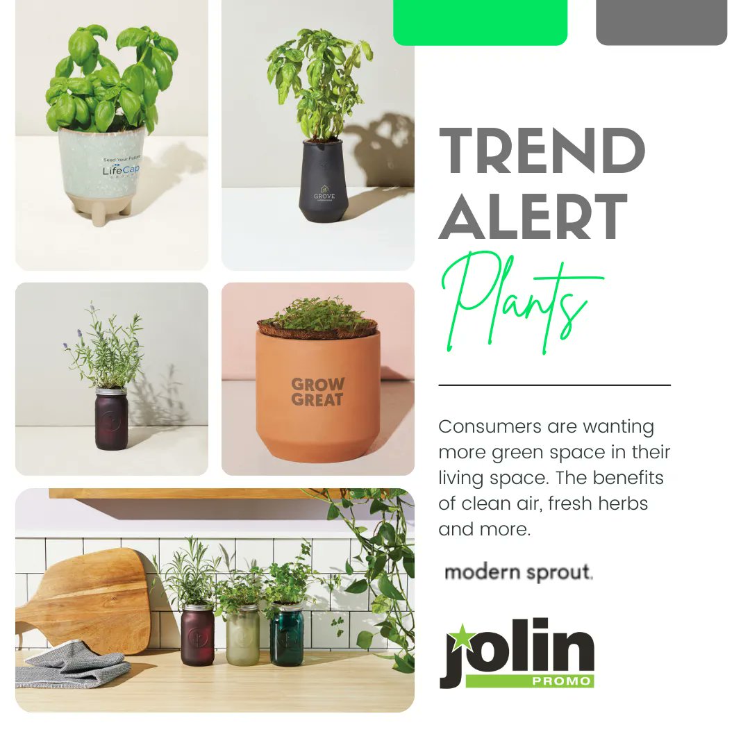Bring the outside in. Who doesn’t love fresh basil on their favorite pizza? And there is something just nice about taking care of a plant. Check out these options from brand Modern Sprout that are perfect for any green thumb or novice.