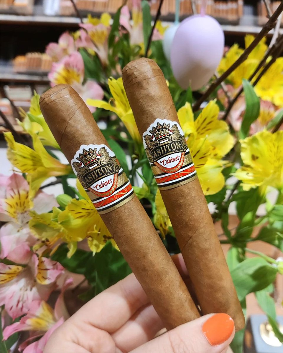 Ashtoncigar's tweet photo. Wake up and smell the Cabinets. https://t.co/3BLSBqiF5G