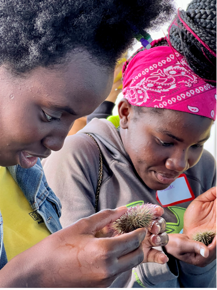 marinesanctuary's tweet photo. #OceanExplorersMiami participants interacted with marine invertebrates, tested samples for microplastics, visited an underwater archeology lab, and toured a research vessel. These stations aimed to increase interest in #STEM, environmental stewardship, and ocean science careers. https://t.co/7O5jhMfXuB