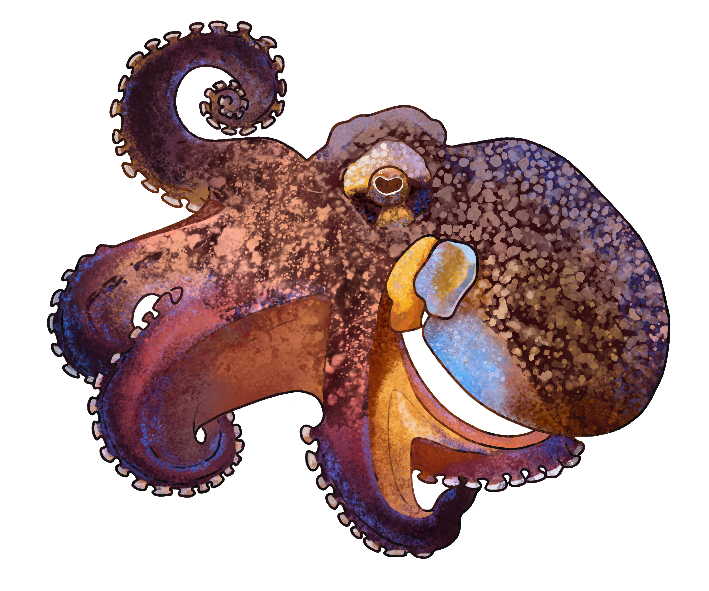 Goldenwing672's tweet photo. My first finished sticker! It will be a pack of 8 octopus in it!
#art #digitalart #sticker #finishedsticker #squidsticker #squid #octopus https://t.co/UKRSrSzCPY