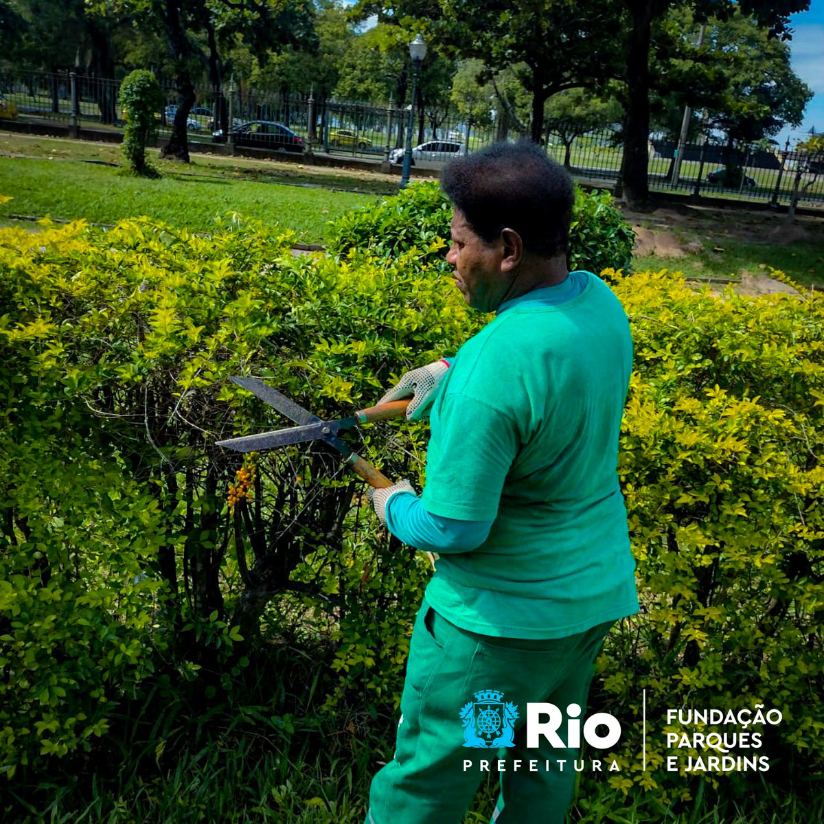 Hoje foi dia de poda e manutenção das nossas arvoretas e arbustos da Praça Paris..