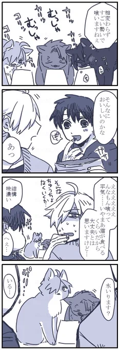 ネコチャン漫画
すごい目で見ていた 