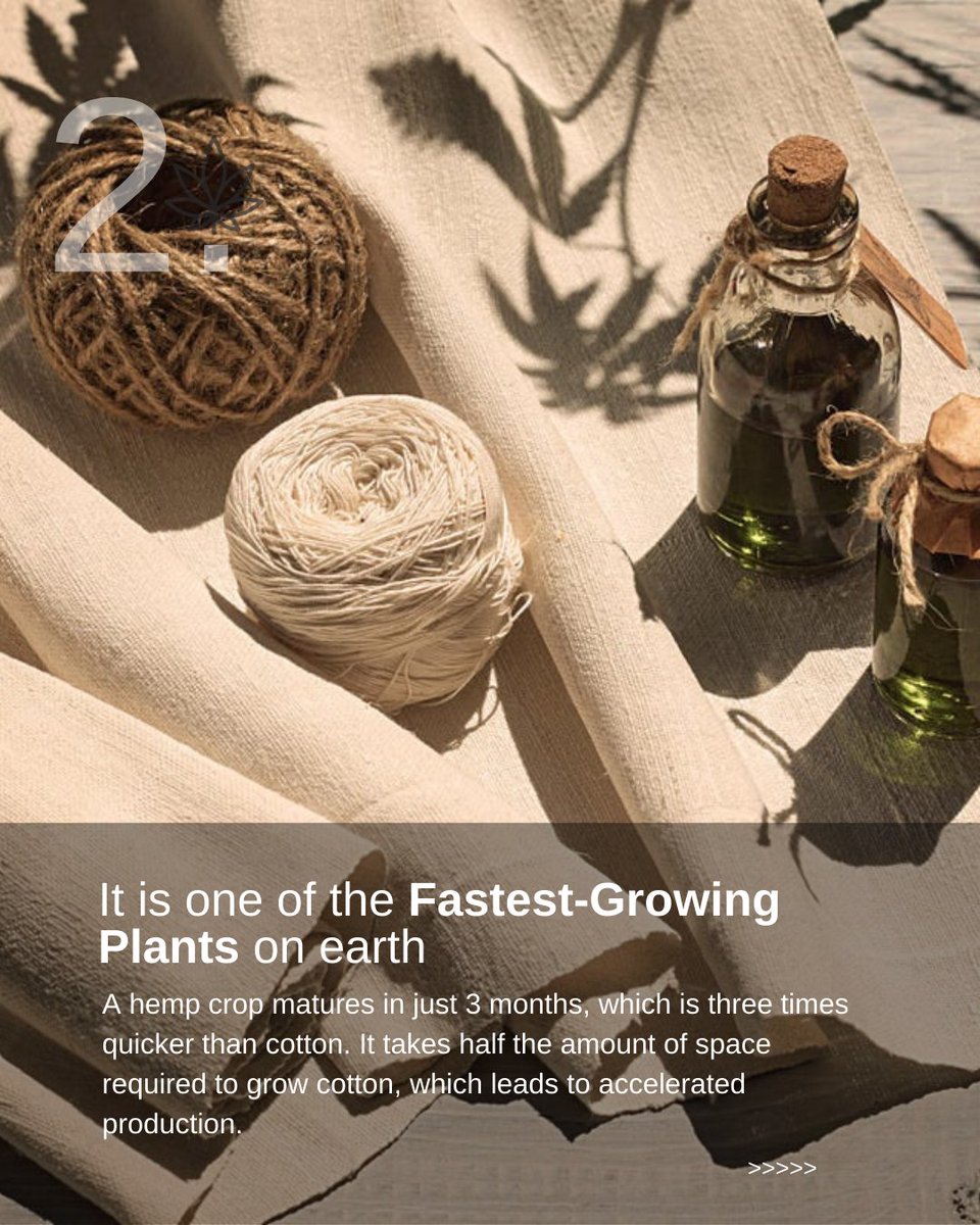 itshempco's tweet photo. Recently, there has been an increasing craze for hemp clothing in India. Fashion enthusiasts, as well as those who actively fight for the planet’s health, are discovering, learning, and adopting hemp clothing in India. https://t.co/Jhh3Q0axKF