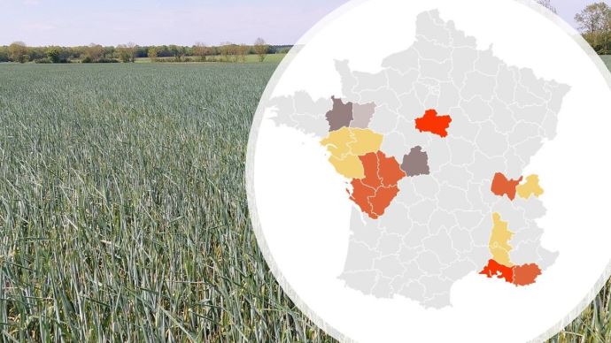 [Sécheresse] 63 % des agriculteurs concernés par le manque d'eau, 15 départements en alerte dlvr.it/SQ5xgY