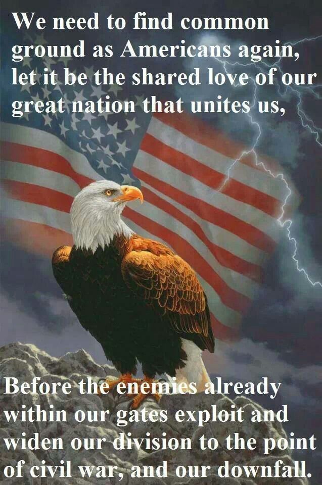 Victoria Light 🇺🇸 USA I love my country. tweet media