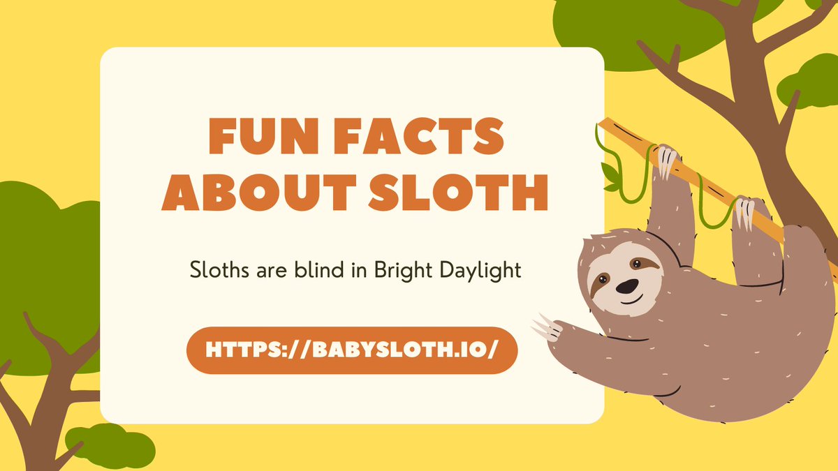 babyslothnft's tweet photo. 🌞It is a very bright beautiful day here in Baby Sloth land! ☺️I learn something new every day about our sloth friends!😀 Join our family at https://t.co/W0TSytBMHC and https://t.co/9BTKiMXszo #savetheplanet #sloth #DidYouKnow #tuesdayvibe https://t.co/I6xkzIrgzp