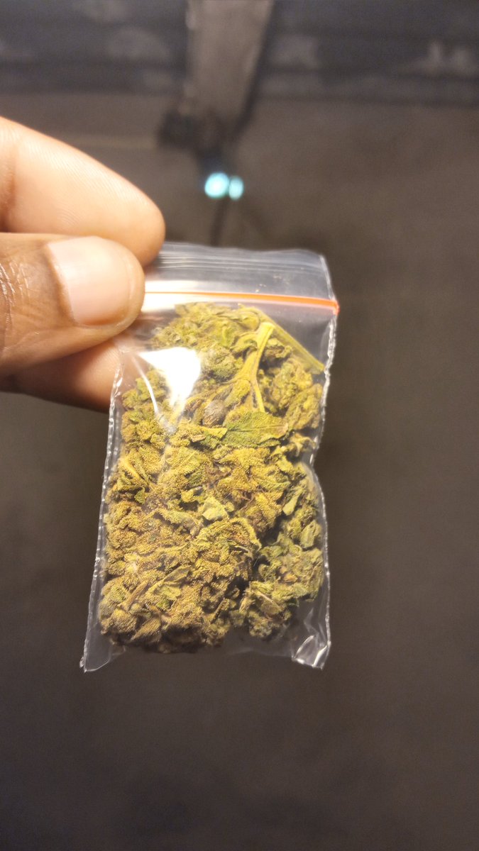 only_weed_258's tweet photo. 250MT o Bankie 🍁 https://t.co/o0Em1Elh8N