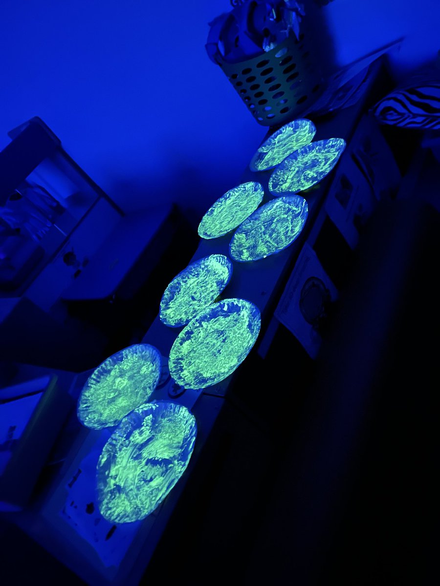 We had fun painting glow-in-the-dark puffy paint moons during our Earth, Moon &amp; Sky unit. <a href="/ItsMariaaaP/">Maria</a> <a href="/Ms_GardnerOE/">Sarah Gardner</a> <a href="/HumbleISD_OE/">Oaks Elementary</a> <a href="/PreOaks/">Oaks Pre-K</a>