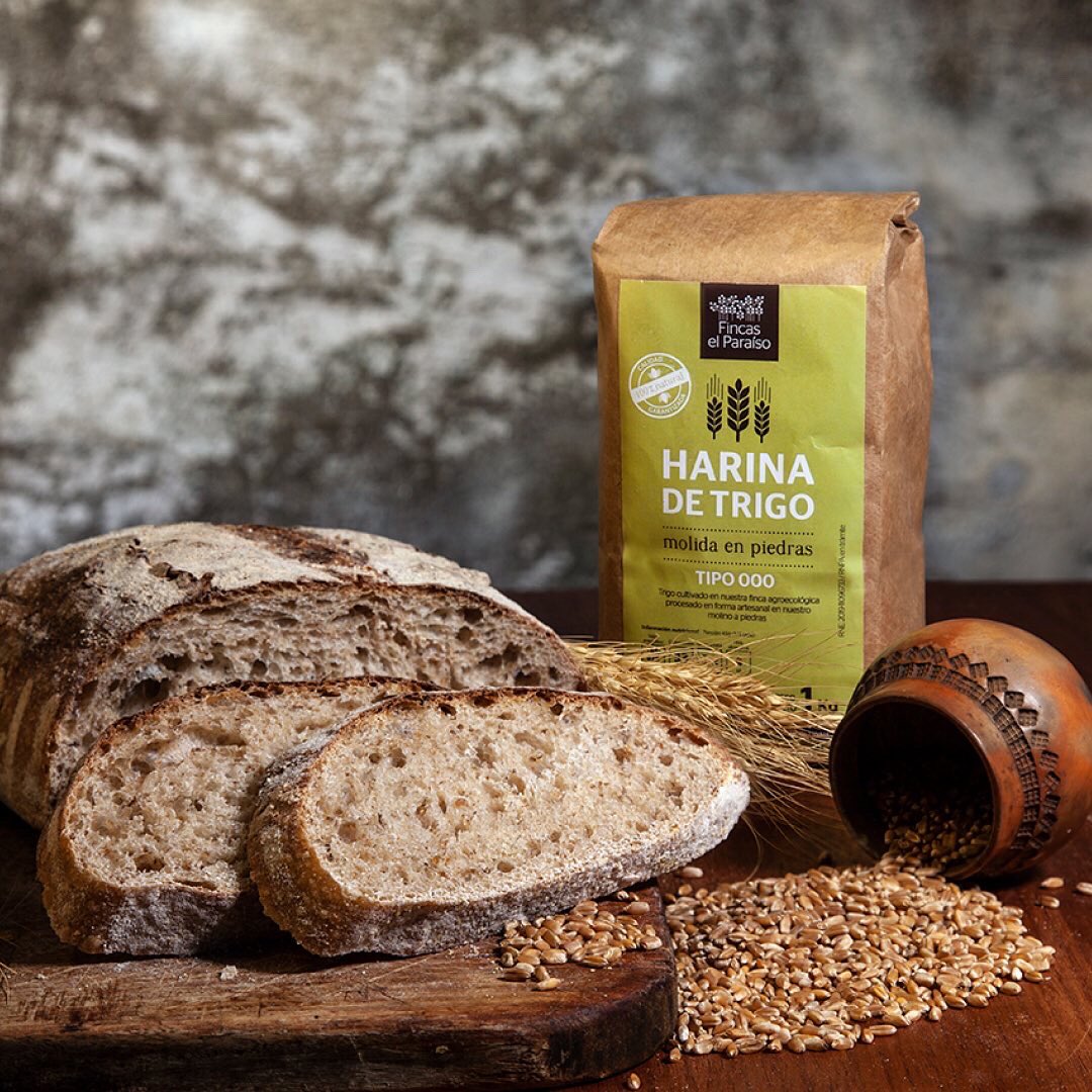 m_territorial's tweet photo. Les seguimos contando quiénes integran el catálogo de MT. Hay otra forma de acceder a nuestros alimentos, una más justa y solidaria 🫶🏽 #agroecologia https://t.co/f8YWwdaYLz