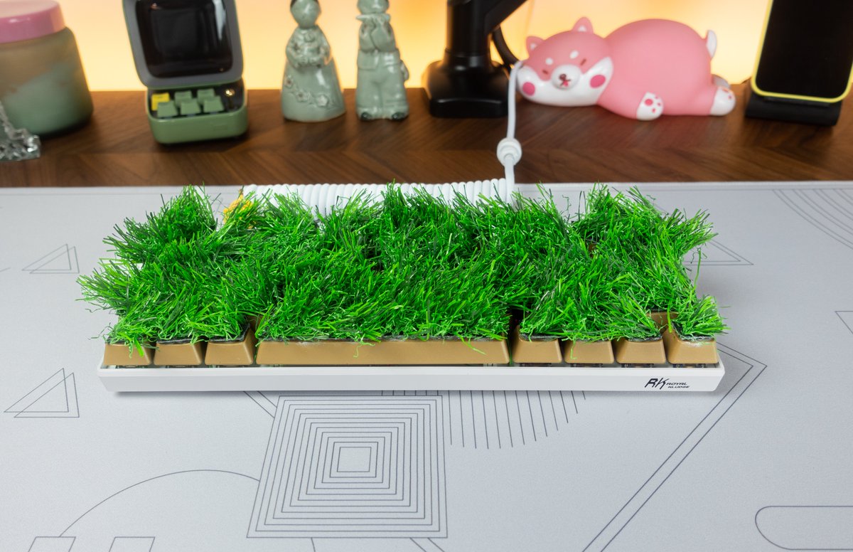 emkeeb's tweet photo. touch grass. 

who need to go outside now mom? 

#gamer #gaming #gamers #keyboard #keeb https://t.co/HR6g3mHV0Z