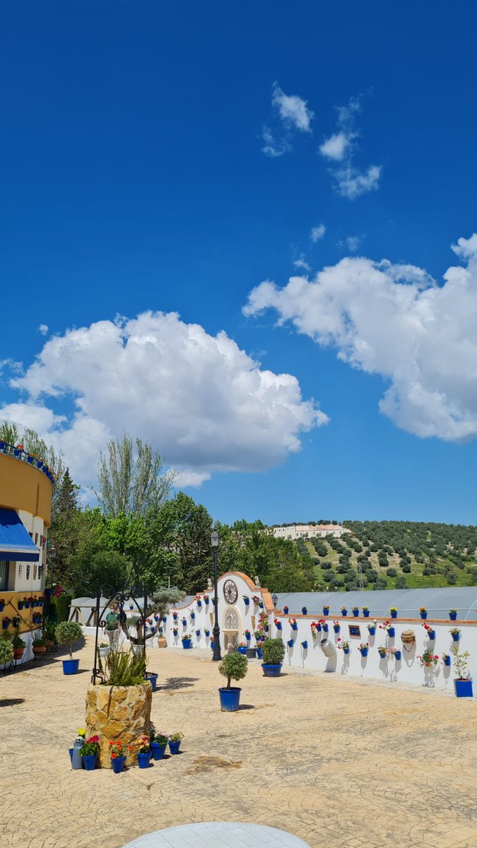 turismodepriego's tweet photo. 🔴 #PriegodeCórdoba ha obtenido dos cuartos premios 🙌 en el concurso de patios, rincones y fachadas de la #SubbéticaCordobesa 

➡️ Por un lado el patio olivo de #Albasur y por otro la fachada de Francisca Comino del barrio de la Villa.

¡Enhorabuena a ambos! #PriegoTuMejorPlan https://t.co/mMukgXMNlB